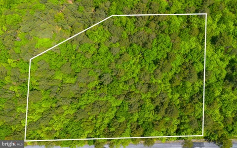 Vacant Land For Sale - LOT 315A Timber Ridge Trail<br/> WINCHESTER, VA 22602