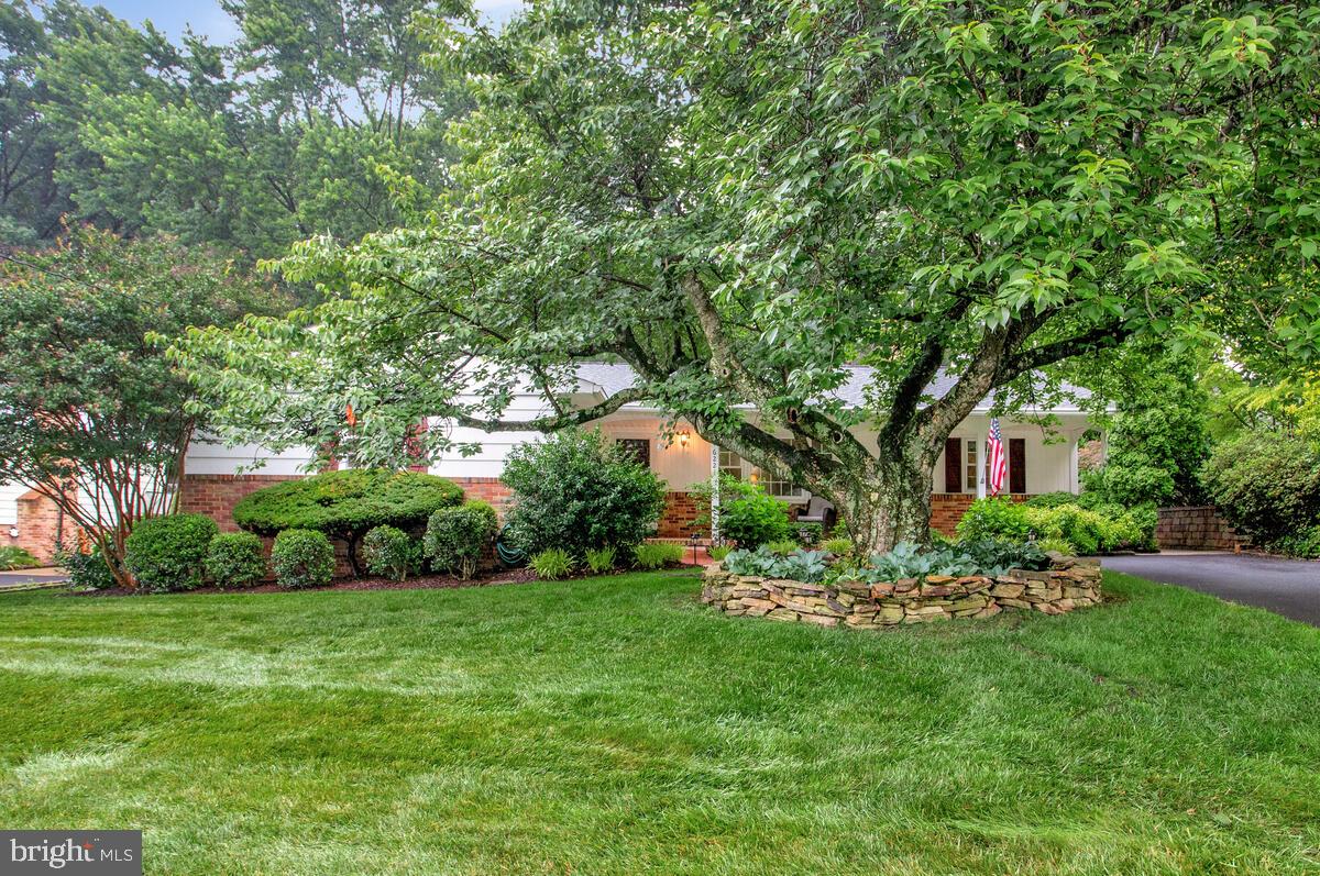 6221 WOODLAND ROAD