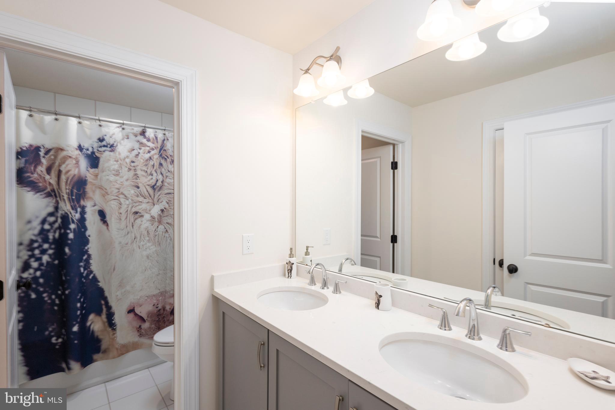 MATTISON ESTATE - UPPER DUBLIN - Residential