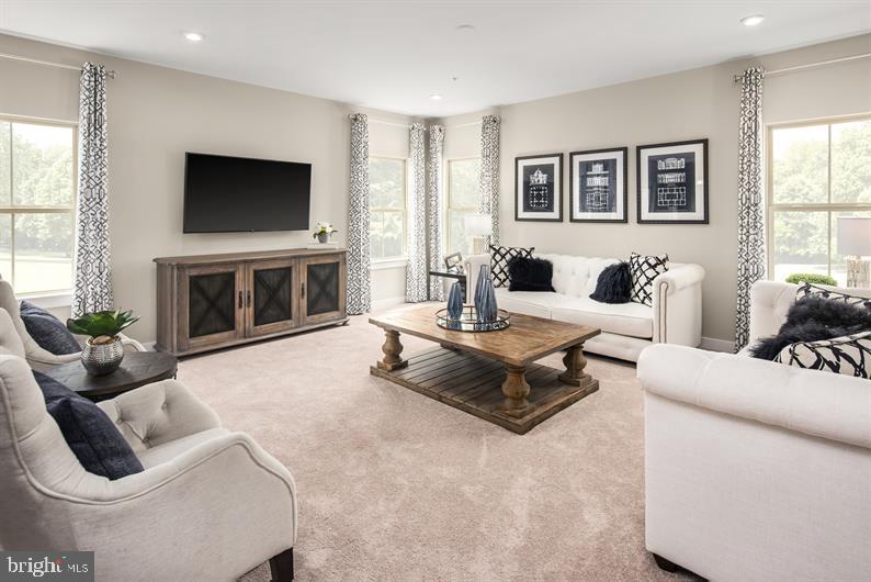 BLUE RIDGE PARK - Residential