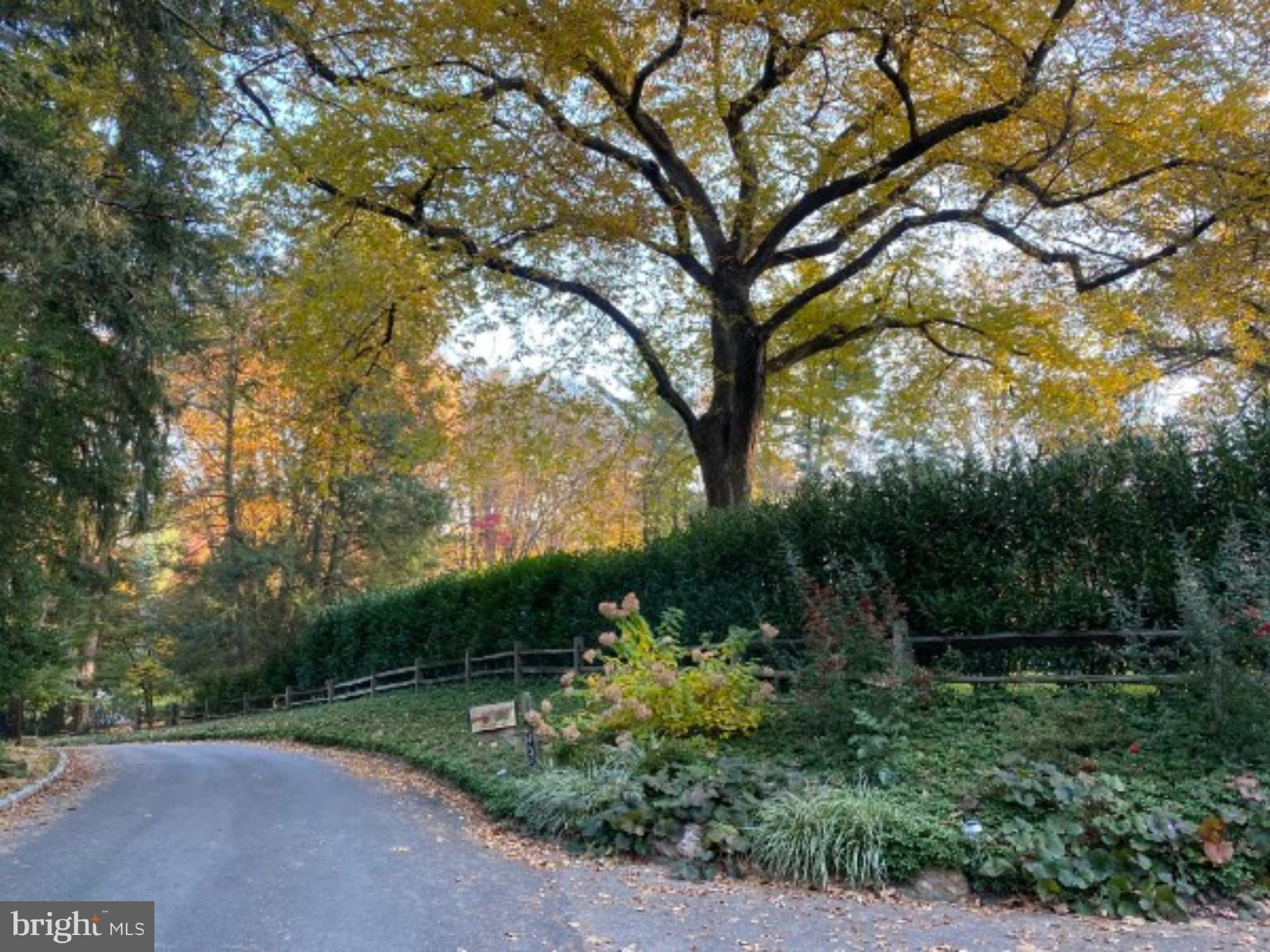 BRYN MAWR - Residential