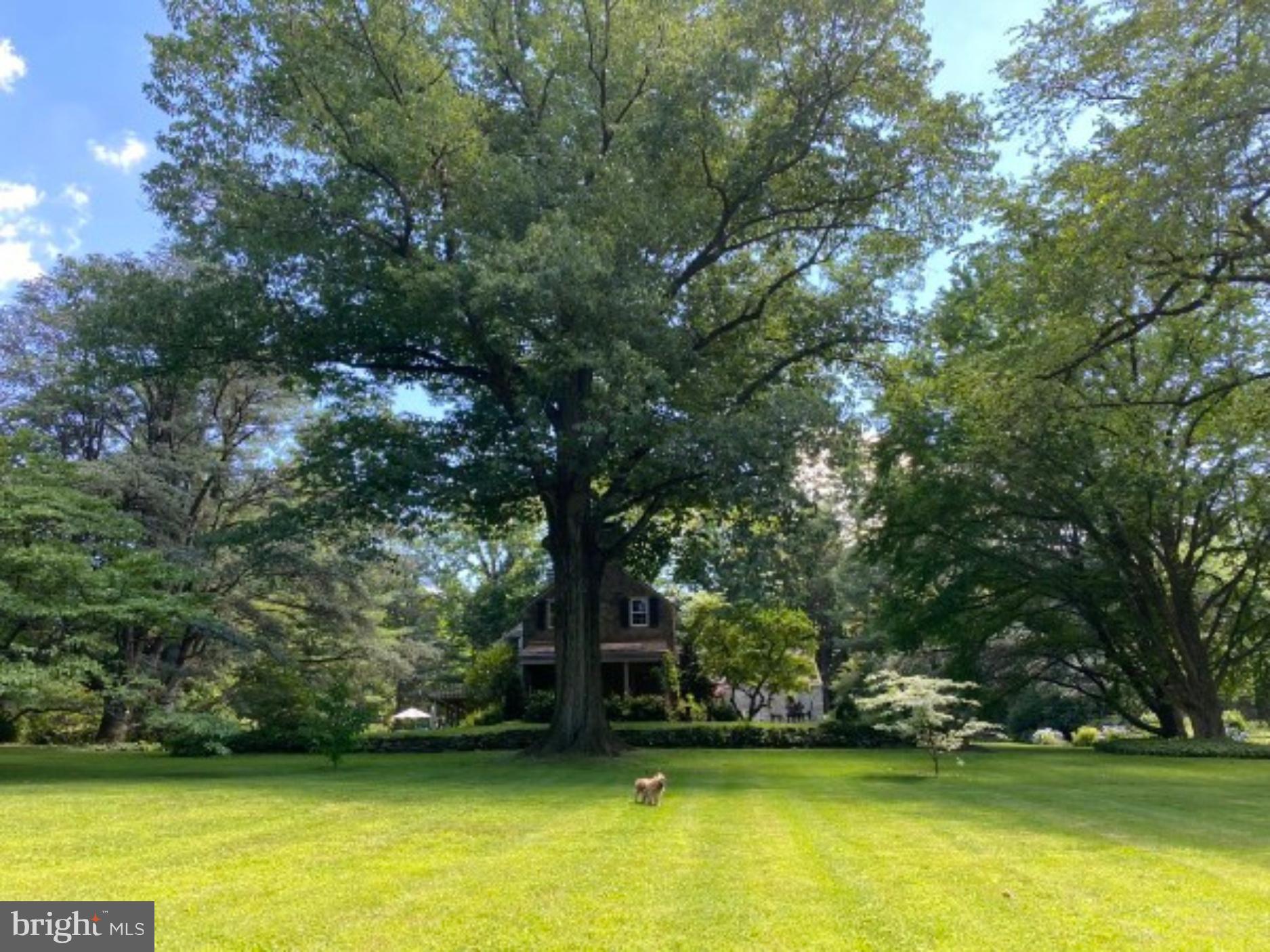 BRYN MAWR - Residential