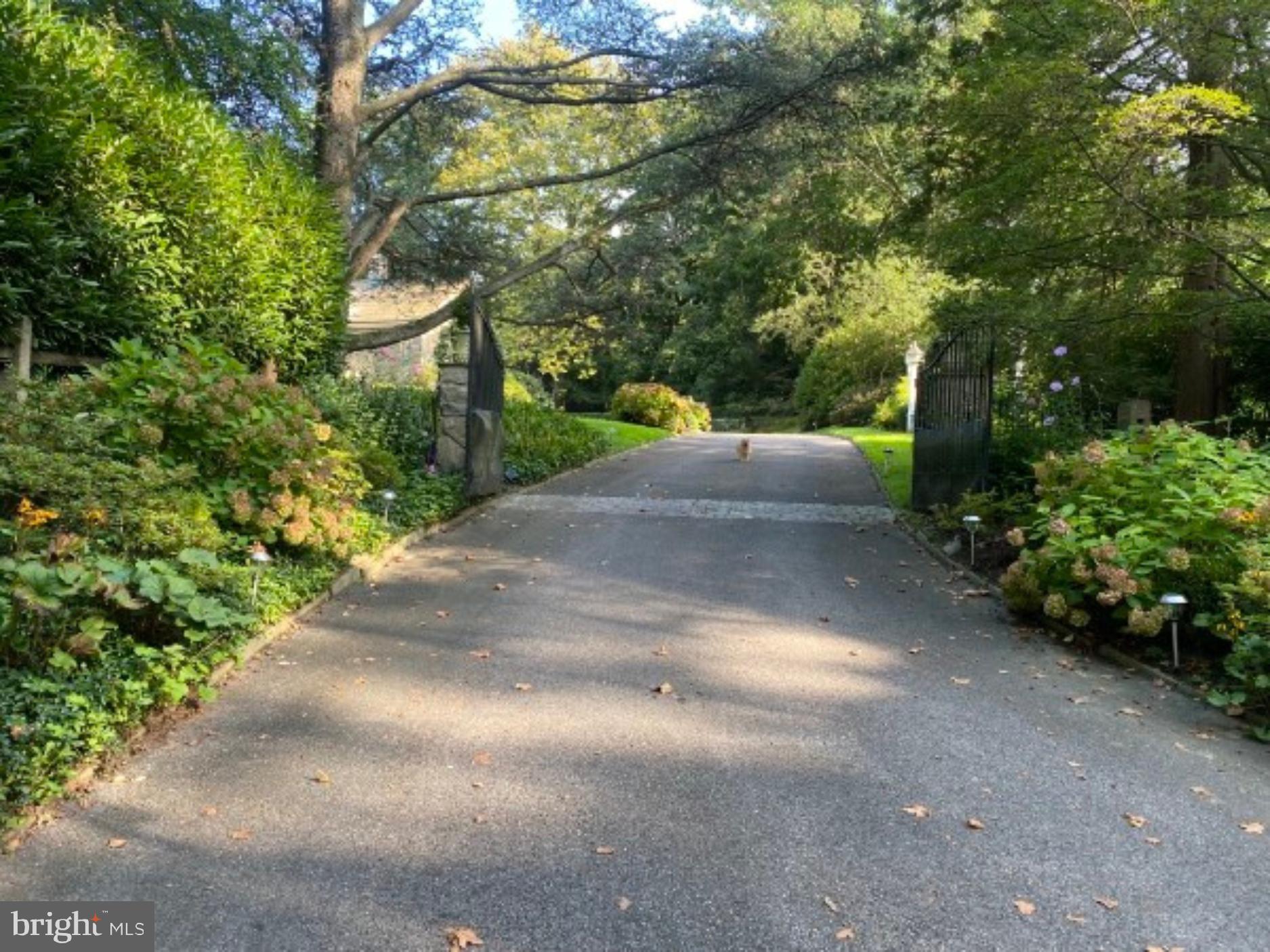 BRYN MAWR - Residential