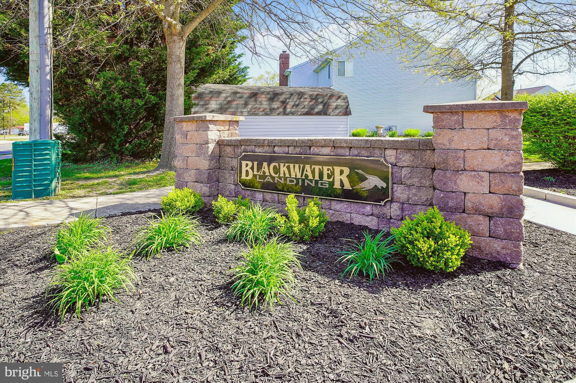 PINTAIL LANDING - Residential