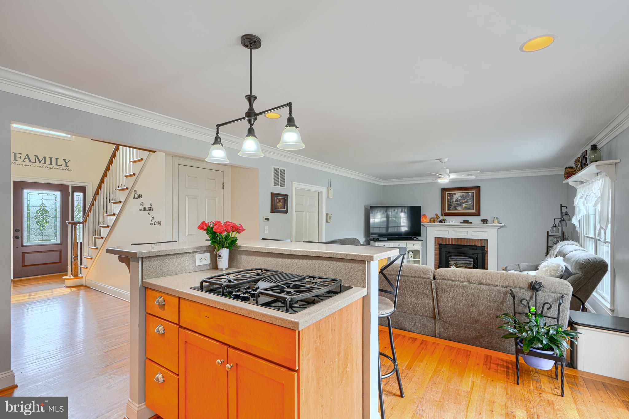 VILLAGE OF SILVER HALL - Residential