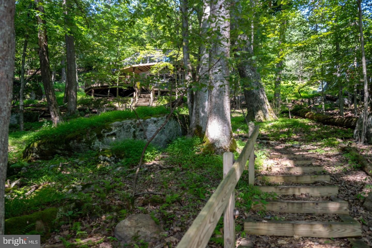 2849 SHINGLE CAMP ROAD