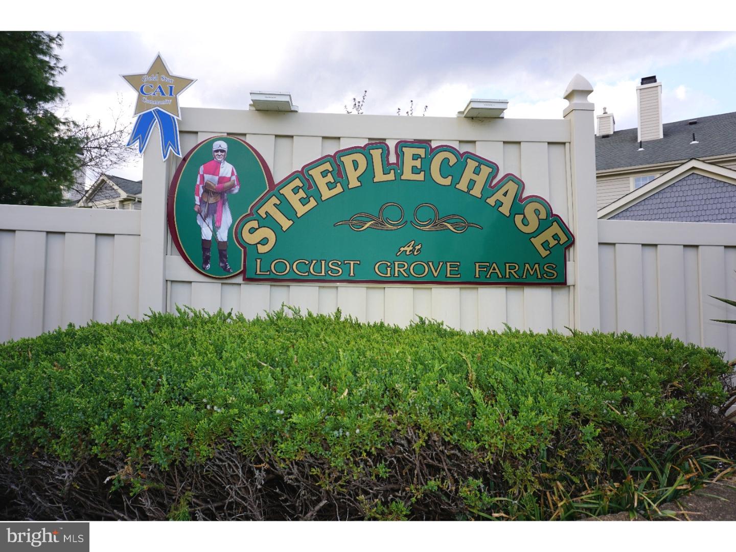 203 STEEPLECHASE COURT