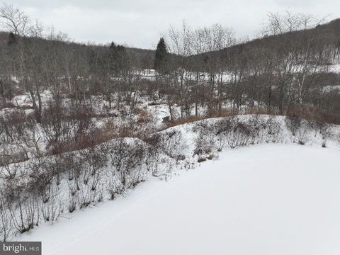Tiny photo for Lot 1 - 0 Holbrook Road, MONTROSE, PA 18801 (MLS # PASU2000142)