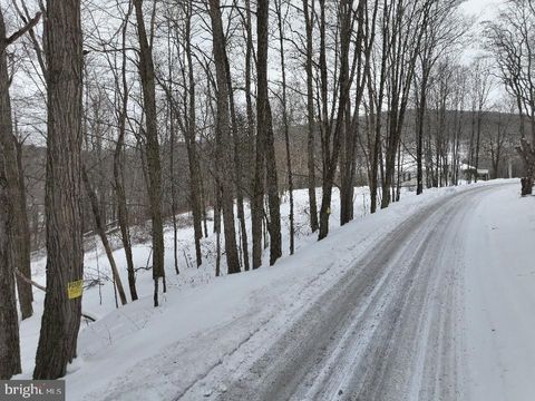 Tiny photo for Lot 1 - 0 Holbrook Road, MONTROSE, PA 18801 (MLS # PASU2000142)