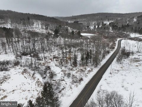 Tiny photo for Lot 1 - 0 Holbrook Road, MONTROSE, PA 18801 (MLS # PASU2000142)