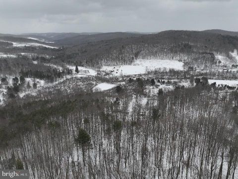 Tiny photo for Lot 1 - 0 Holbrook Road, MONTROSE, PA 18801 (MLS # PASU2000142)