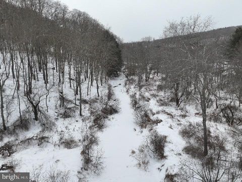 Tiny photo for Lot 1 - 0 Holbrook Road, MONTROSE, PA 18801 (MLS # PASU2000142)