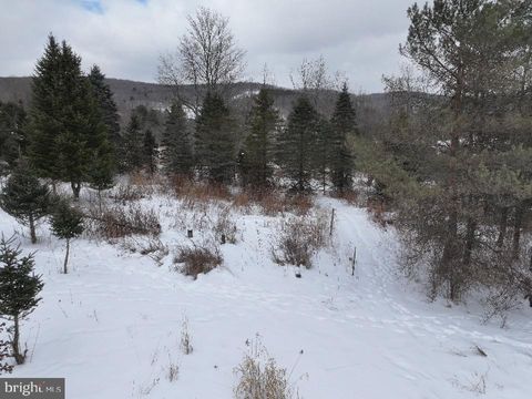 Tiny photo for Lot 1 - 0 Holbrook Road, MONTROSE, PA 18801 (MLS # PASU2000142)