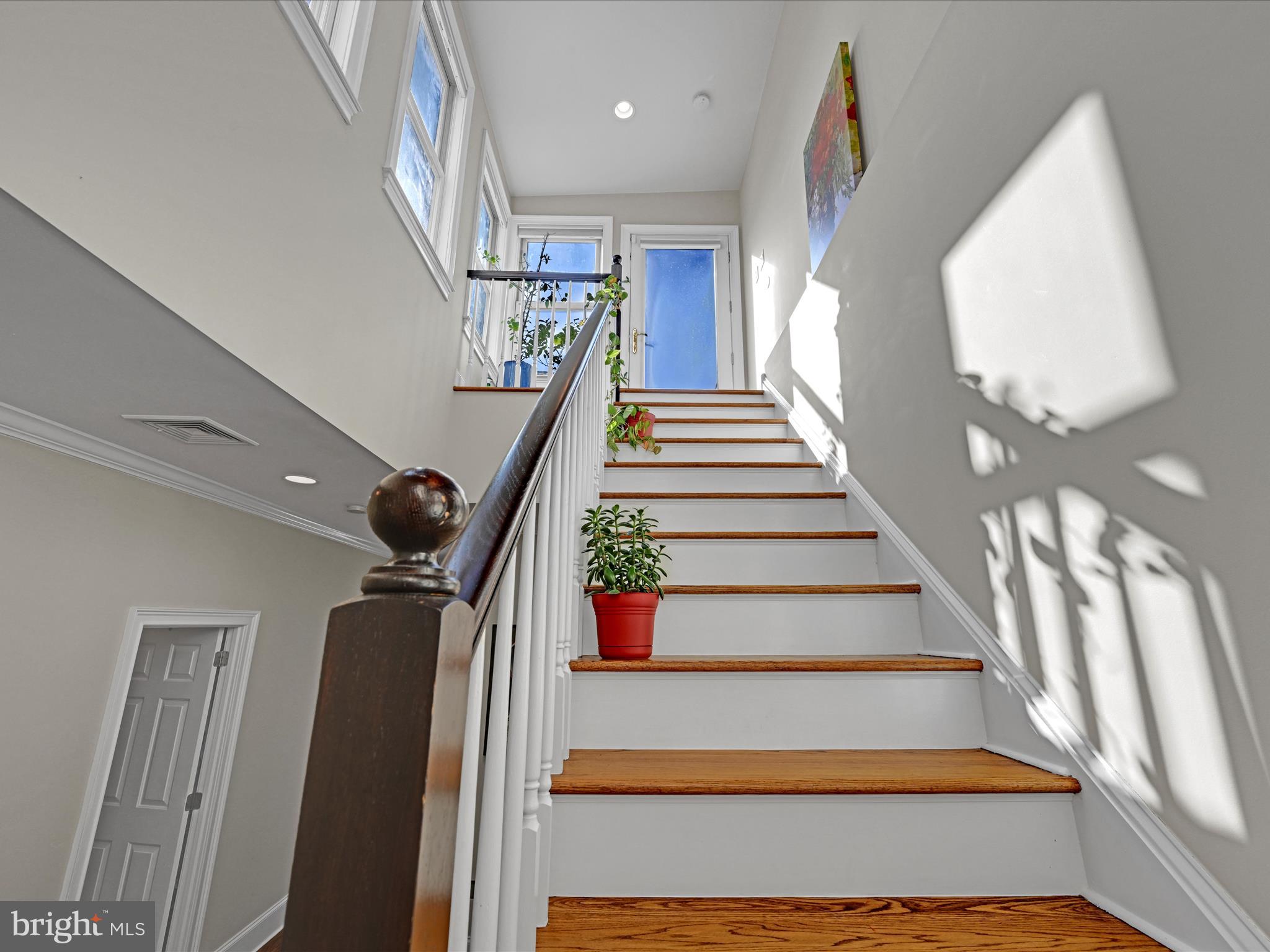 ART MUSEUM AREA - Residential