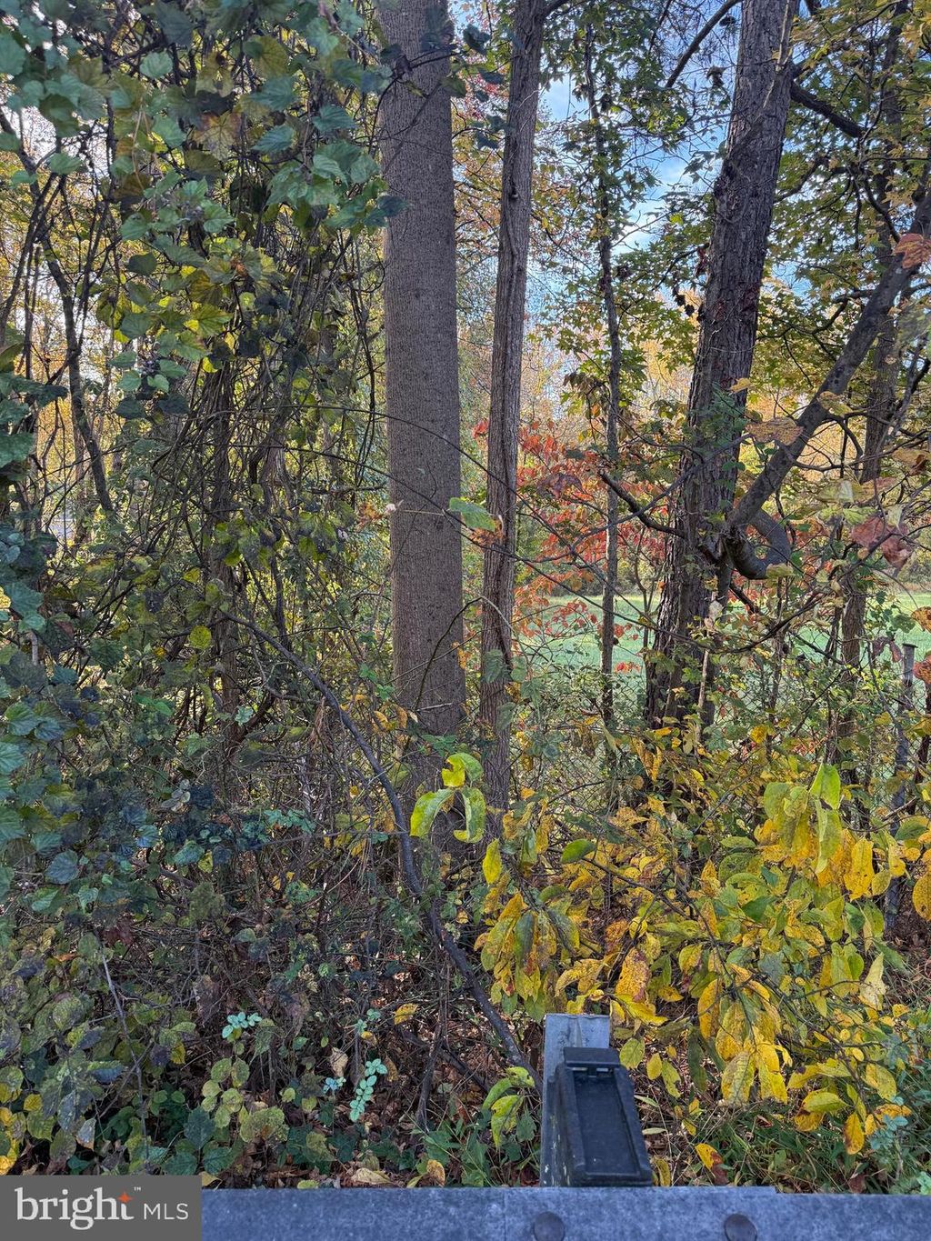 Photo of 12921 Fletchertown Road, BOWIE, MD 20720 (MLS # MDPG2181174)