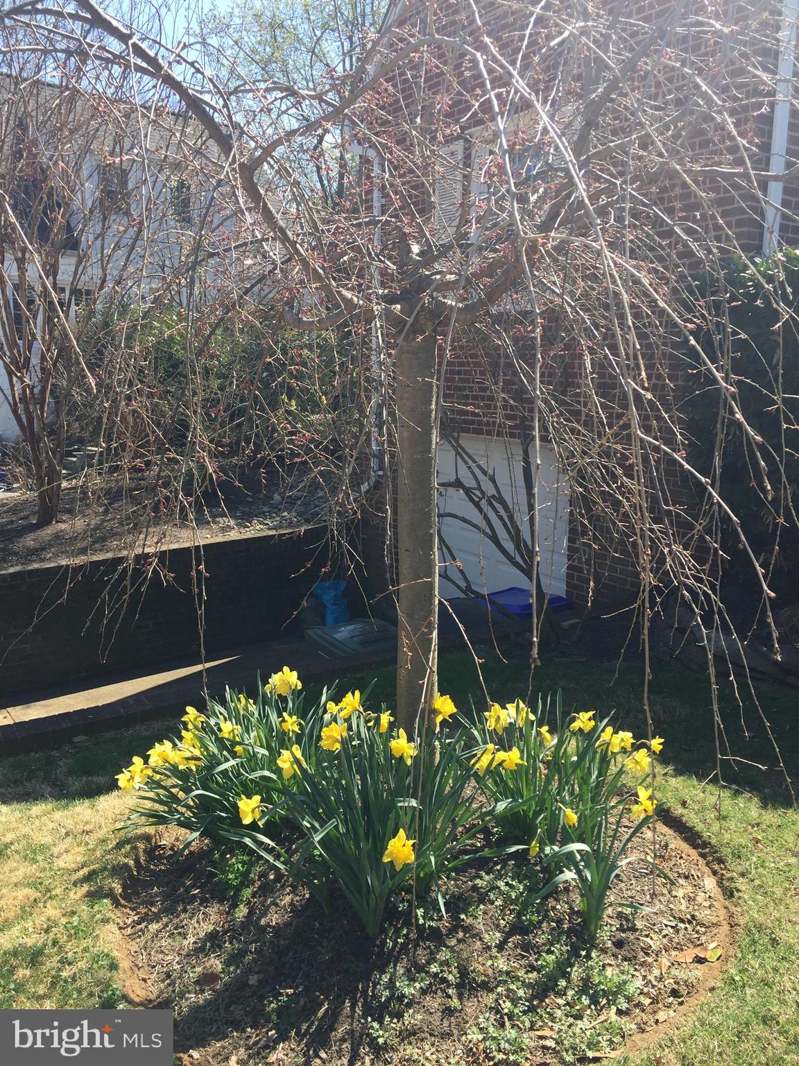 972 N QUANTICO STREET