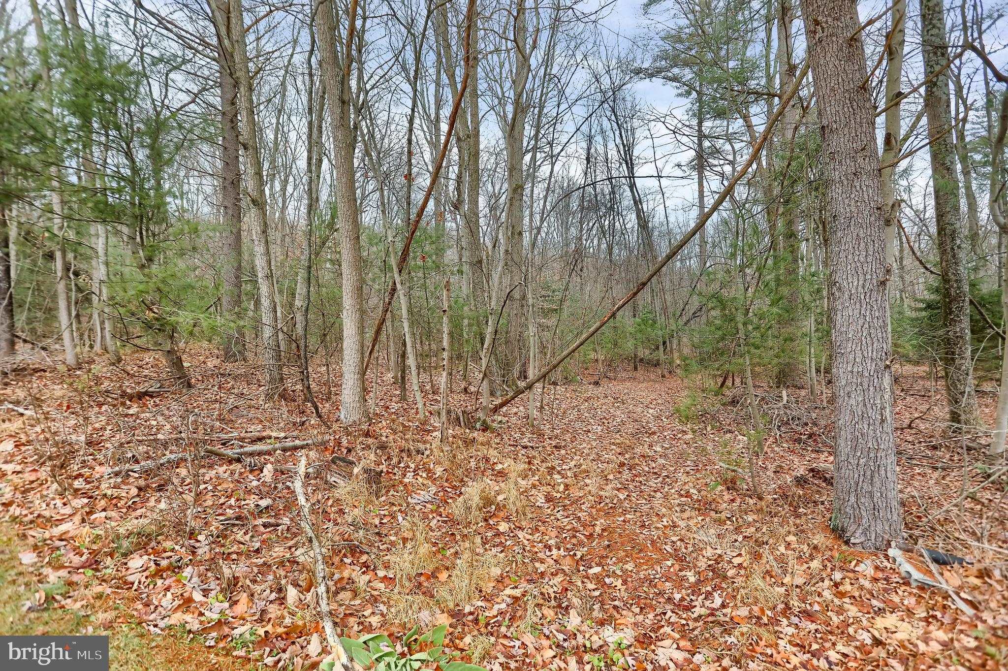 LIVERPOOL - Residential