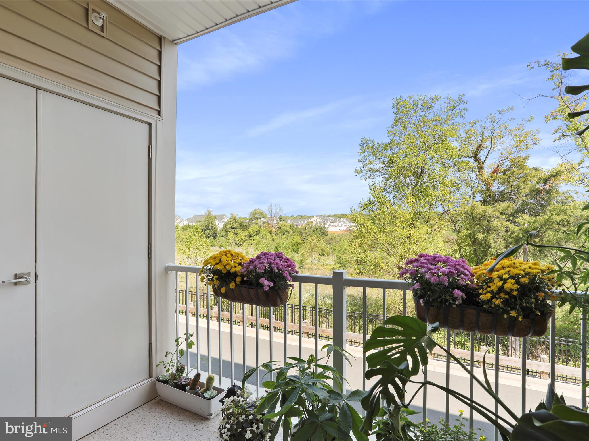 LOUDOUN VALLEY CARLISLE - Residential