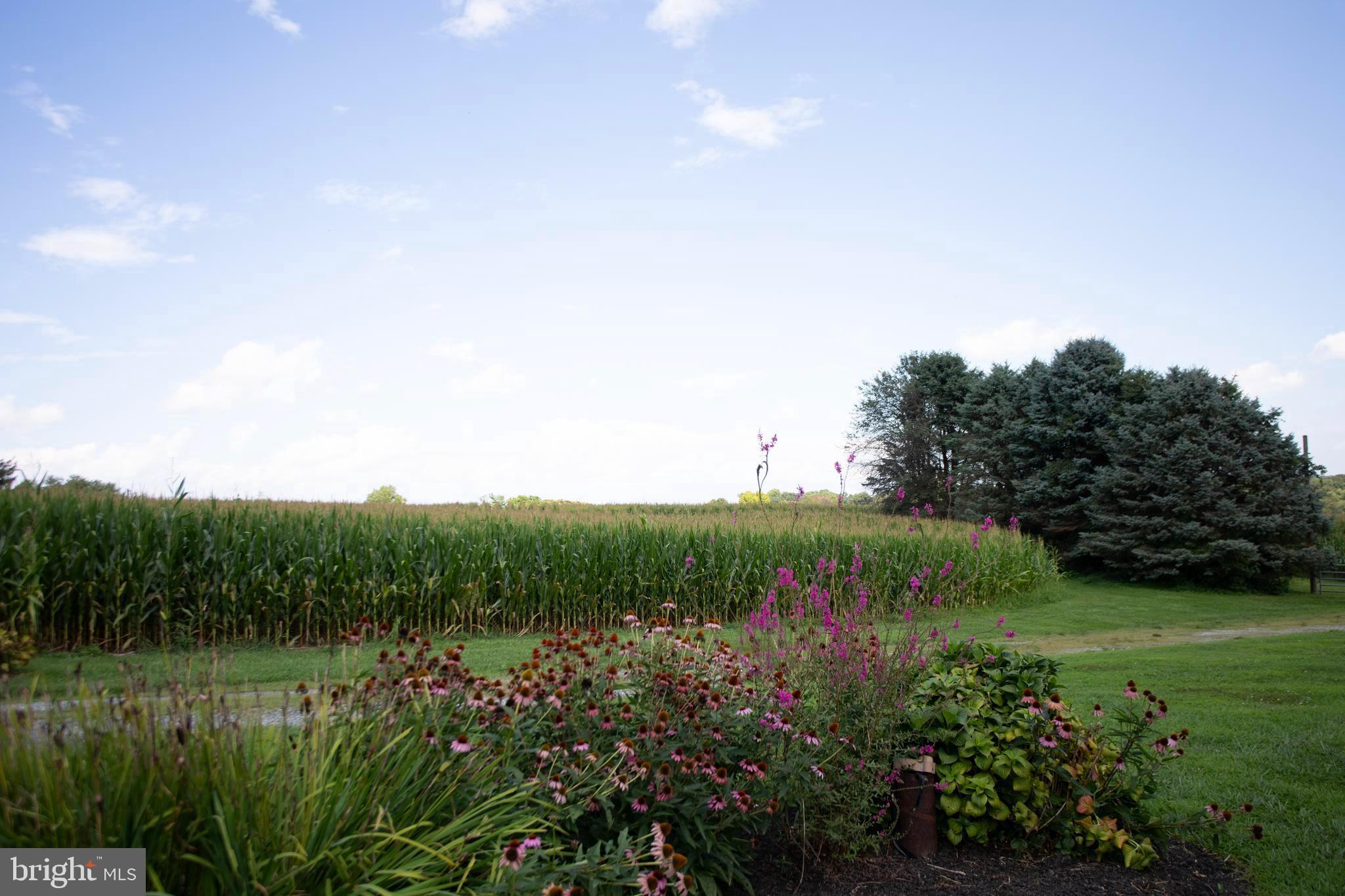 PROVIDENCE TWP - Residential
