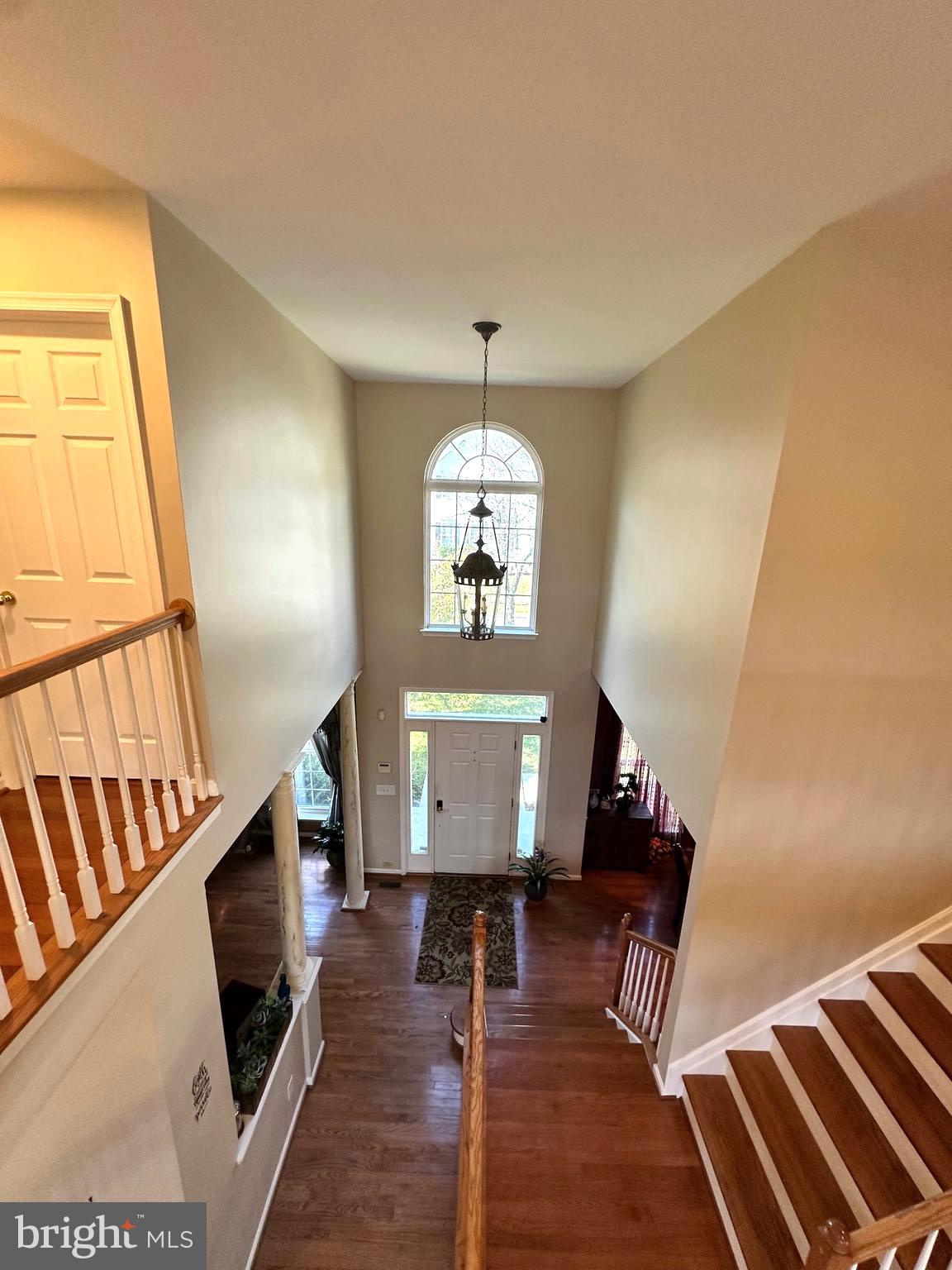 SEVERN - Residential