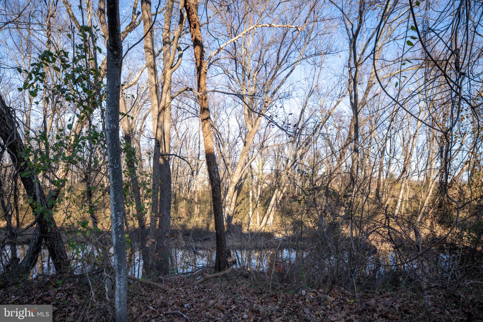 SOUTH COVE - Residential