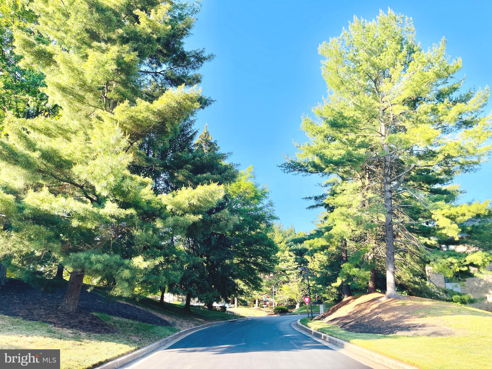 MAYS CHAPEL VILLAGE - Residential