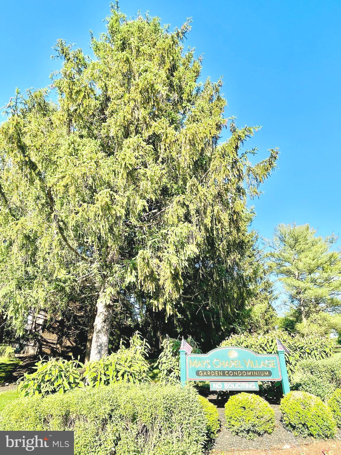 MAYS CHAPEL VILLAGE - Residential