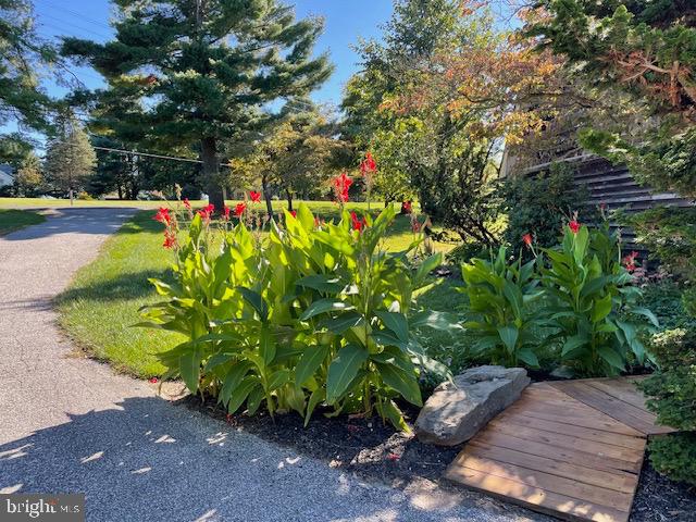 BUENA VISTA ESTATES - Residential