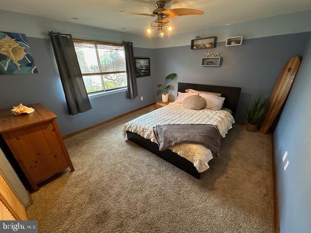 BUENA VISTA ESTATES - Residential