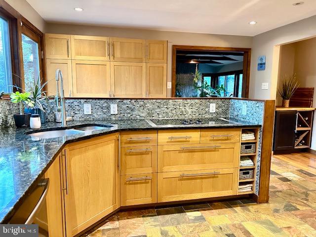 BUENA VISTA ESTATES - Residential