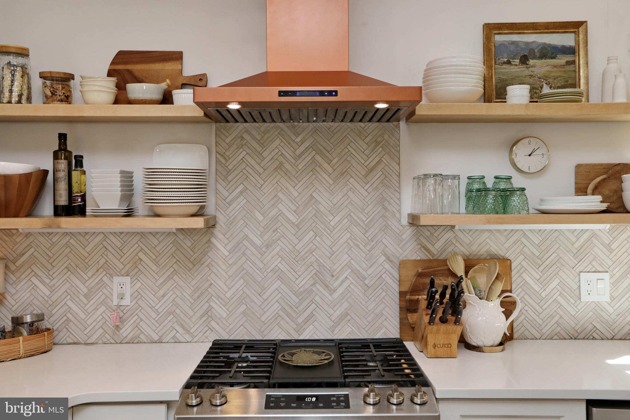 THE VILLAGES OF STEEPLECHASE - Residential