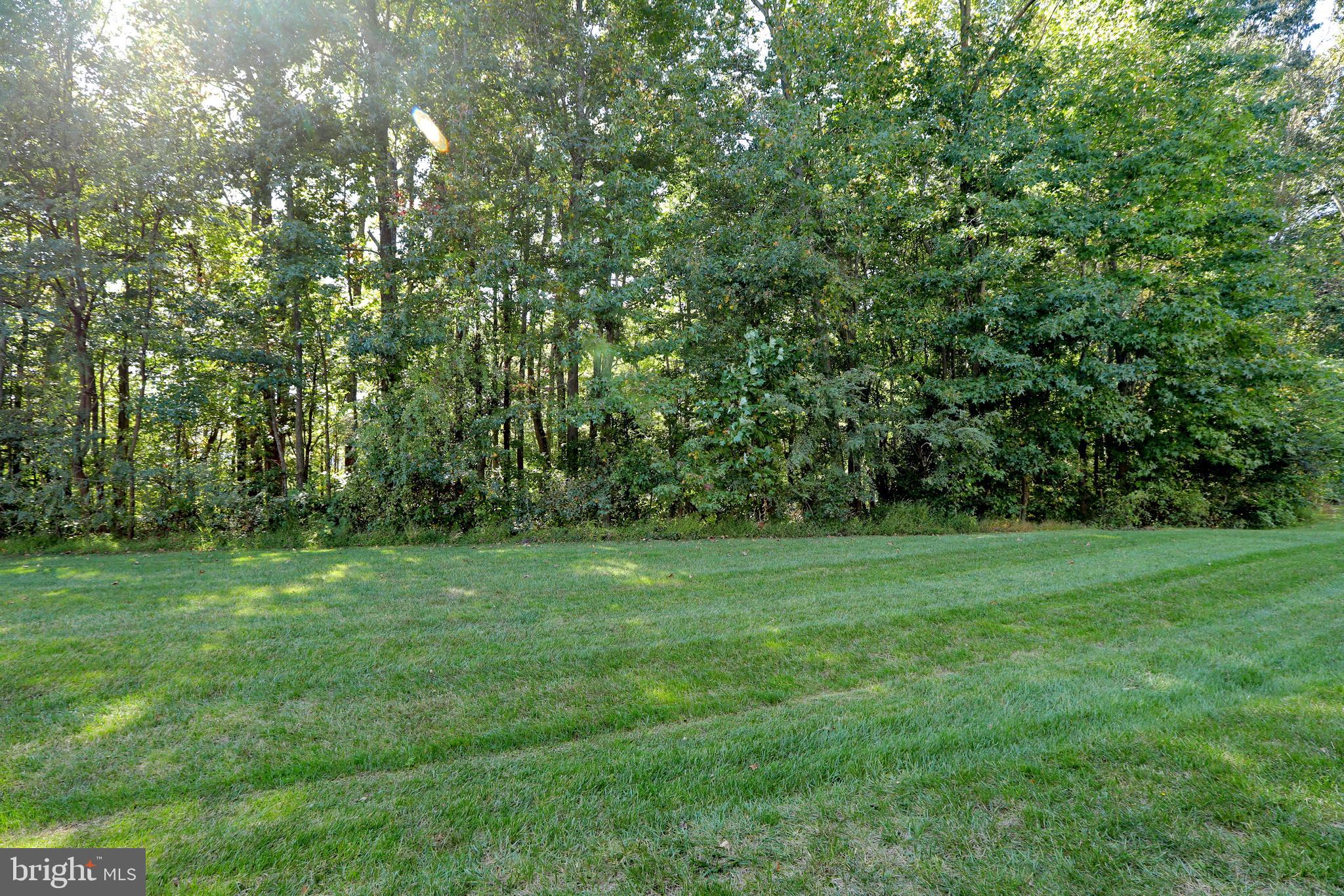 THE VILLAGES OF STEEPLECHASE - Residential