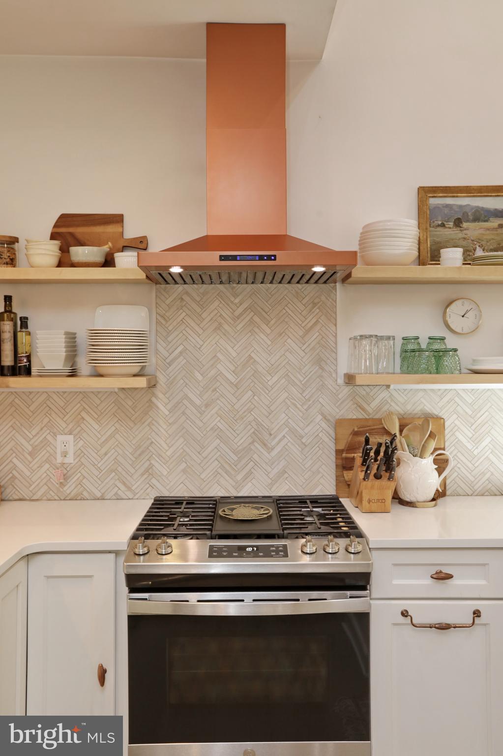 THE VILLAGES OF STEEPLECHASE - Residential