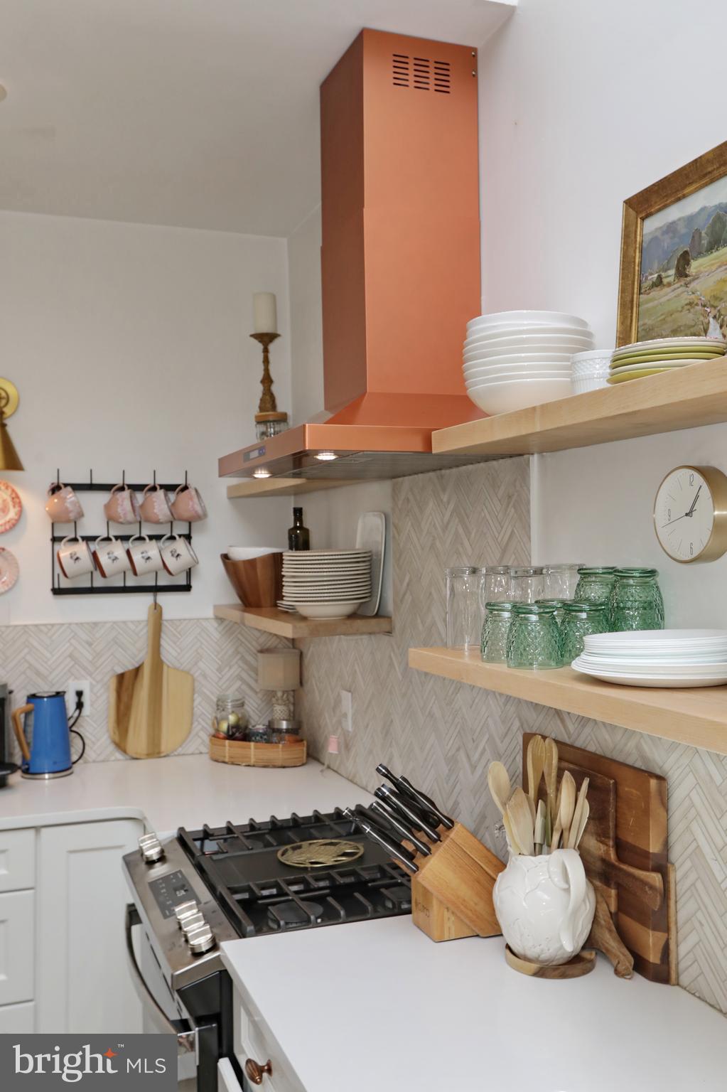 THE VILLAGES OF STEEPLECHASE - Residential