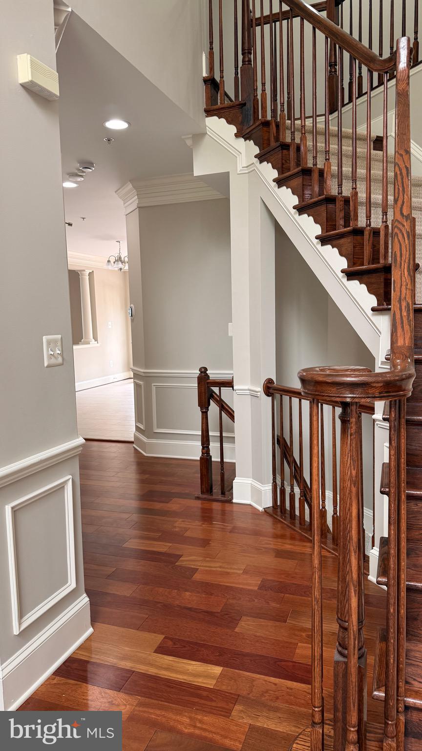 12503 GRAND ELM STREET