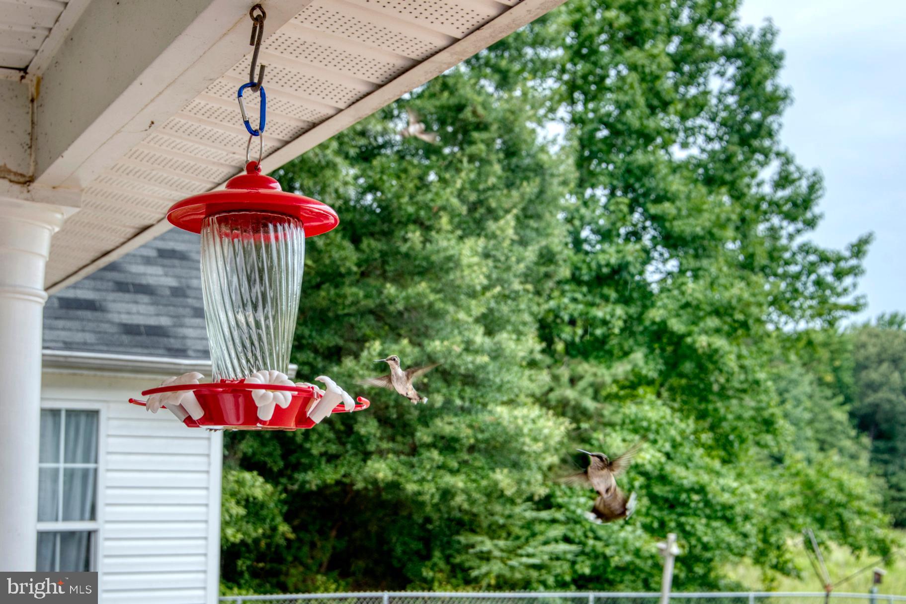 GREEN MANOR ESTATES - Residential