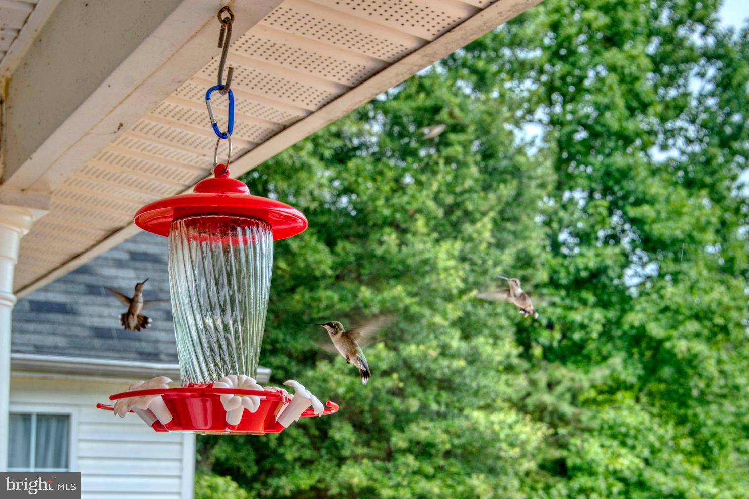 GREEN MANOR ESTATES - Residential