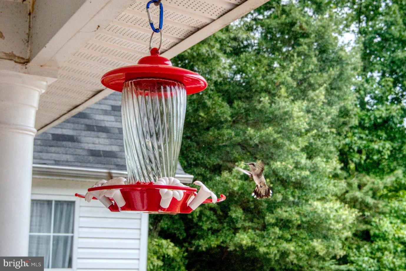 GREEN MANOR ESTATES - Residential