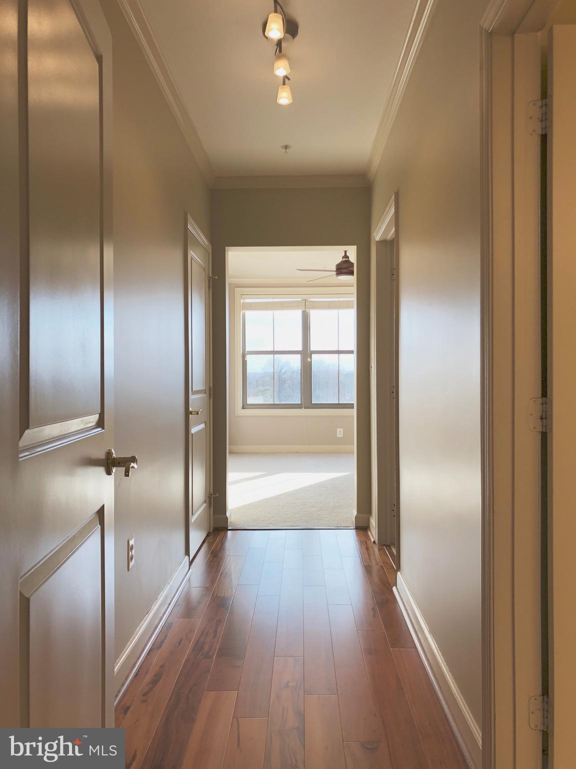 BELMONT BAY - Residential Lease