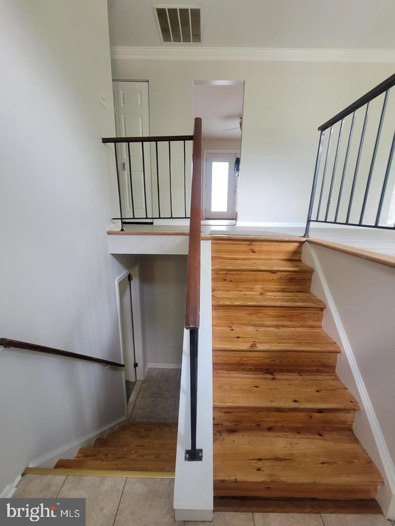 MAPLEWOOD - Residential Lease