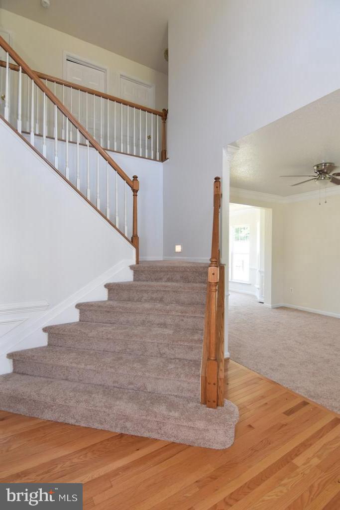 NEWTON MANOR - Residential