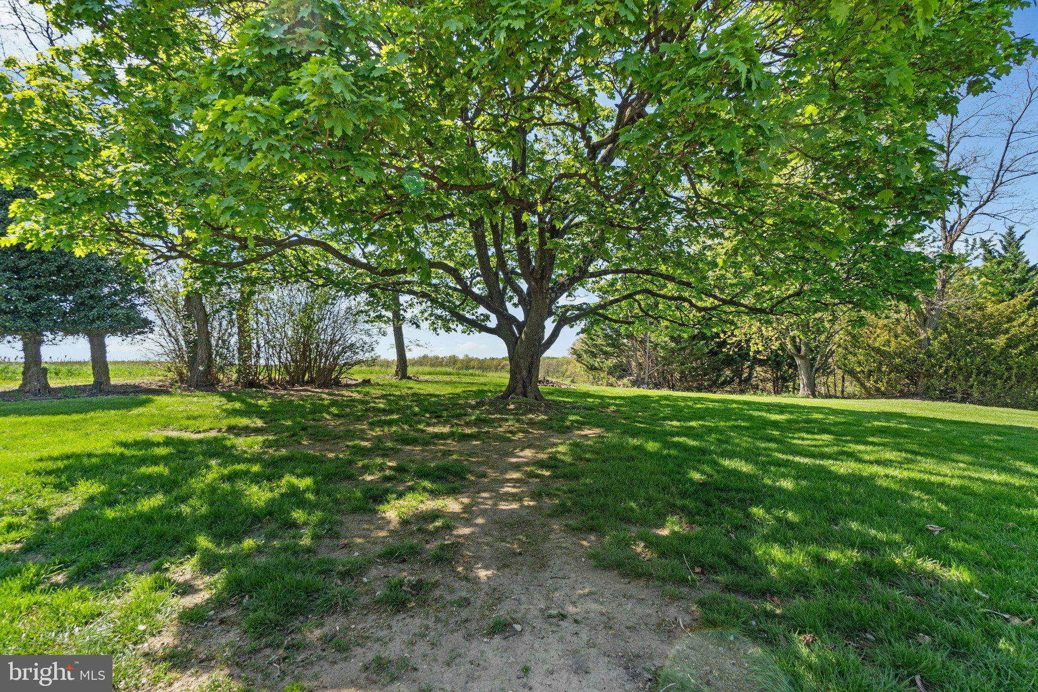 NEW WINDSOR - Residential