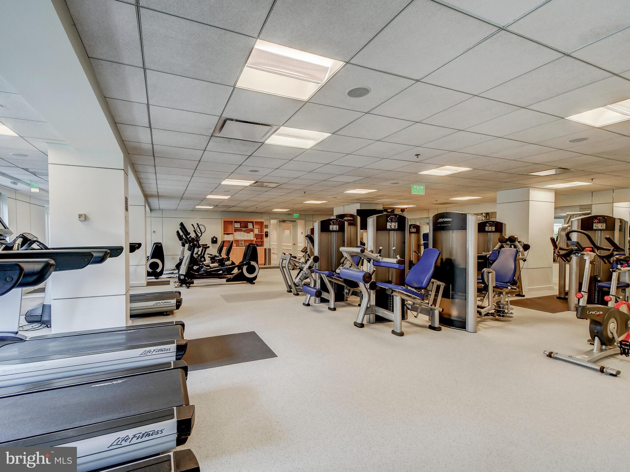 THE RITZ-CARLTON RESIDENCES - Residential