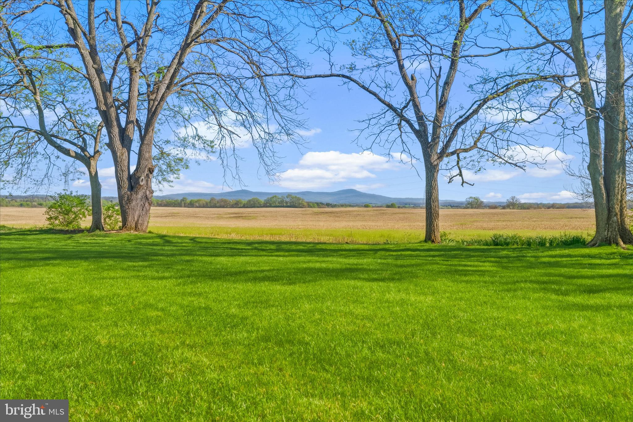 5905 CHAR LEIGH CIRCLE