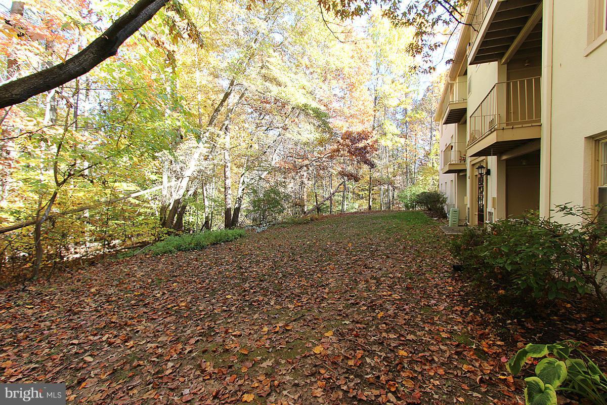 CARDINAL FOREST - Residential