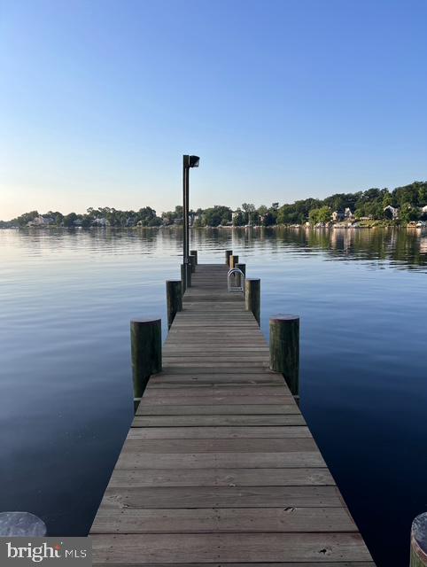 1161 DOUBLE CHESTNUT COURT