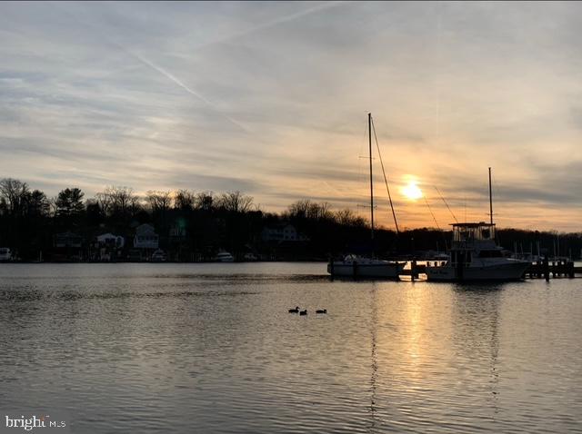 CHESTNUT HILL COVE - Residential