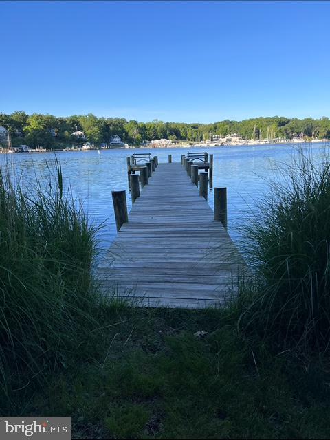 1161 DOUBLE CHESTNUT COURT