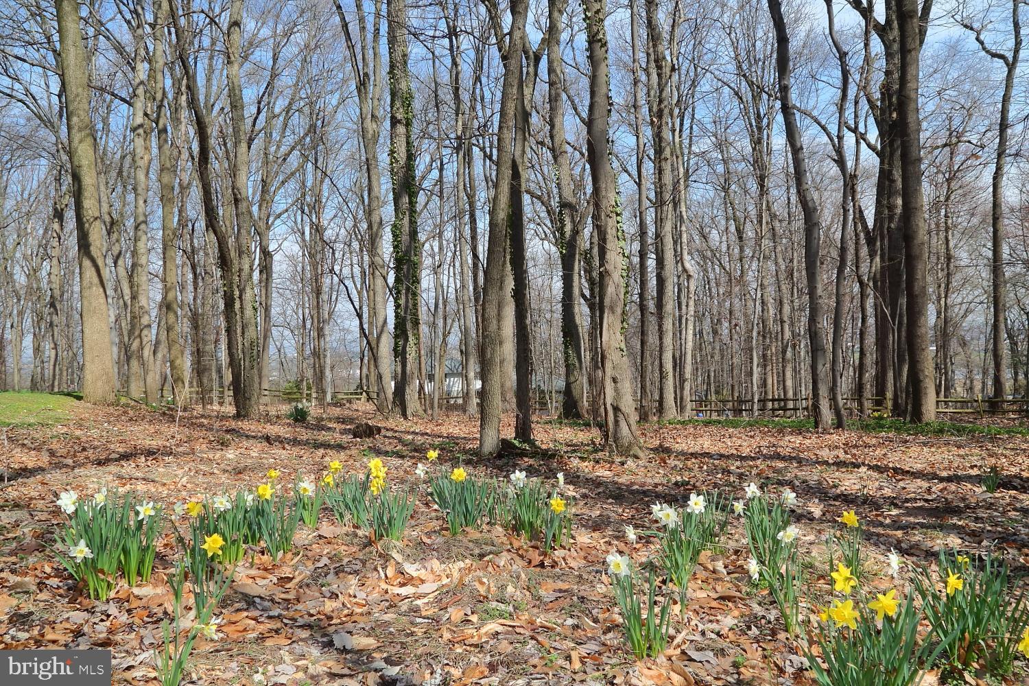 GETZ'S WOODS - Residential