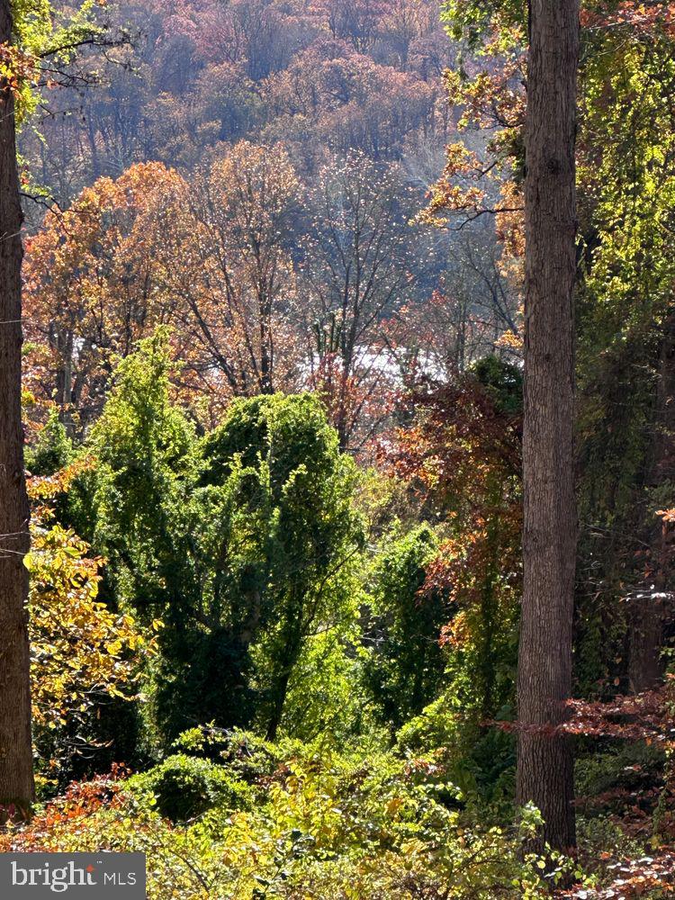 5651 BENT BRANCH ROAD